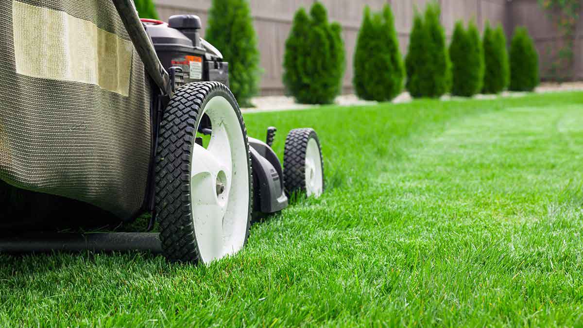 Seasonal lawn care tips for the Winter-Spring transition