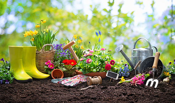 Gardening Competition in Catherine Park